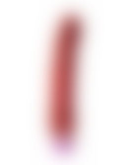DILDO STIMULANT Vibromasseur en gelée rouge pour plaisir intime