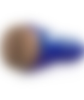 FLESHLIGHT BOOST BLAST ANAL Masturbador masculino para estimulación anal realista