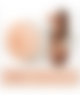 FLESHLIGHT RILEY REID Collection signature de la marque