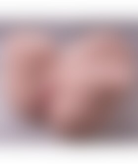 GINA Gina, il tuo compagno di piacere: Masturbatore con thrusting da 12,5 kg