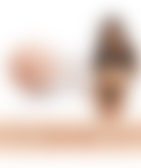 FLESHLIGHT VINA SKY Réplica realista vulva actriz vina sky. masturbador
