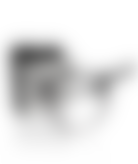 FLESH Arnés de dupla penetração ajustável para prazer íntimo