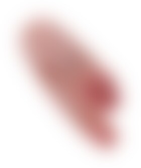 REI GALO DOBLE. Duplo estimulador vaginal e anal