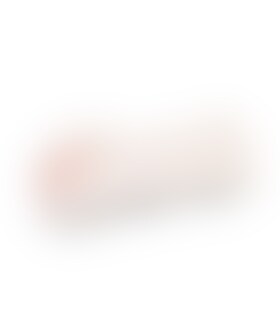 PASSION II LADY Masturbador compacto simula vagina para placer intenso