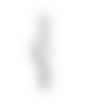 REESE DELIGHT Vibrador coelhinho com tripla estimulação