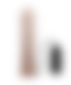 REALISTICO Dildo realistico con vibrazione e ventosa potente