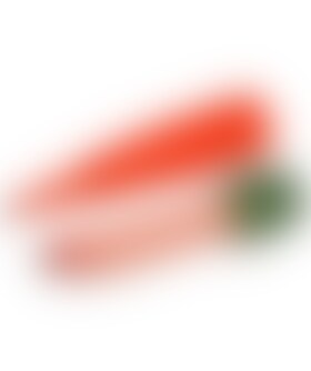 VEGETABLE CARROT Discover our playful surprise toy that's perfect for your next event! It's designed to spa