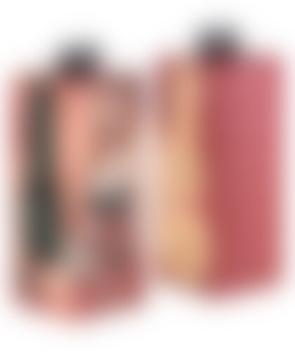 LAUREN PHILLIPS STARS COLLECTI Intimate accessory for lifelike thrills