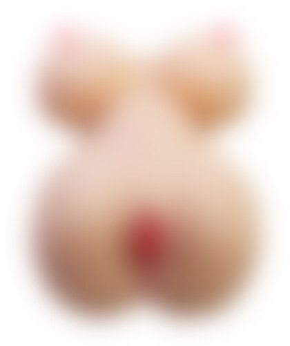 FIONA TORSO FEMININO Fiona corpo feminino realista vagina e anal 7,1 kg