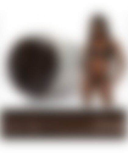 FLESHLIGHT ANNA FOXX La perfetta riproduzione della vagina dell'attrice Anna Foxx Silk