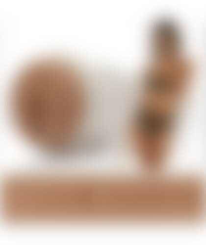 FLESHLIGHT JANICE GRIFFITH Experience ultimate pleasure with the ultra-realistic Fleshlight Girls masturbator.