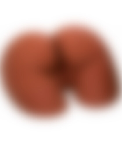 PDX REALISTIC Realistic Butt Position Masturbator with Dual Entries