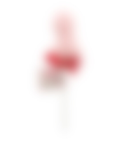 PENIS-SHAPED LOLLIPOP Fun lollipops with a cheeky twist for your bachelorette party!