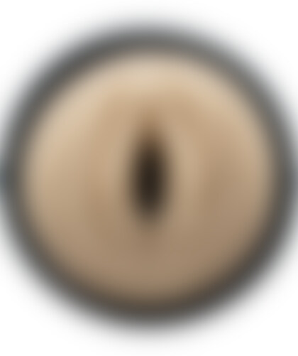 SILEX ULTRA MASTURBATOR VAGINA Discover the discreet and ultra-realistic male pleasure device designed to enhance your so