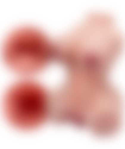 FEMALE REALISTIC TORSO MODE Realistic Erotic Torso with Precision Design in Soft TPE