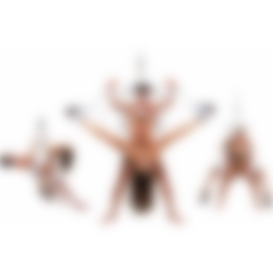 FETISH FANTASY BONDAGE SWING 3