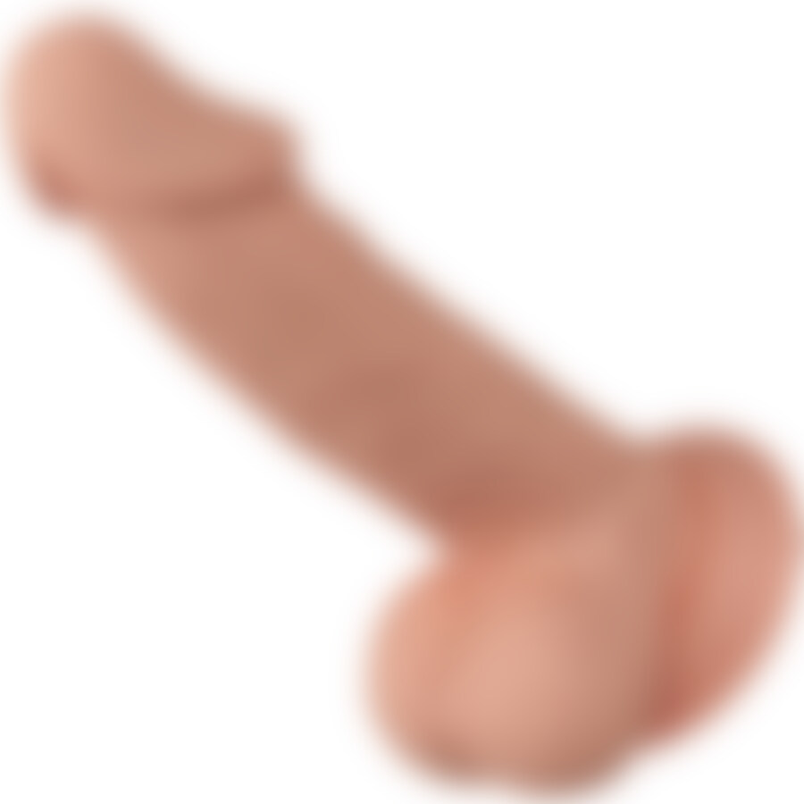 ZEBULON 15
