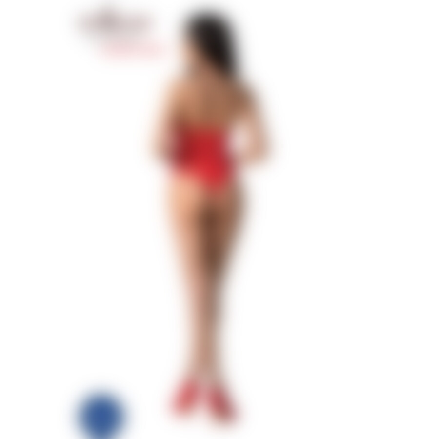 BODYSTOCKING EMBRACE 11