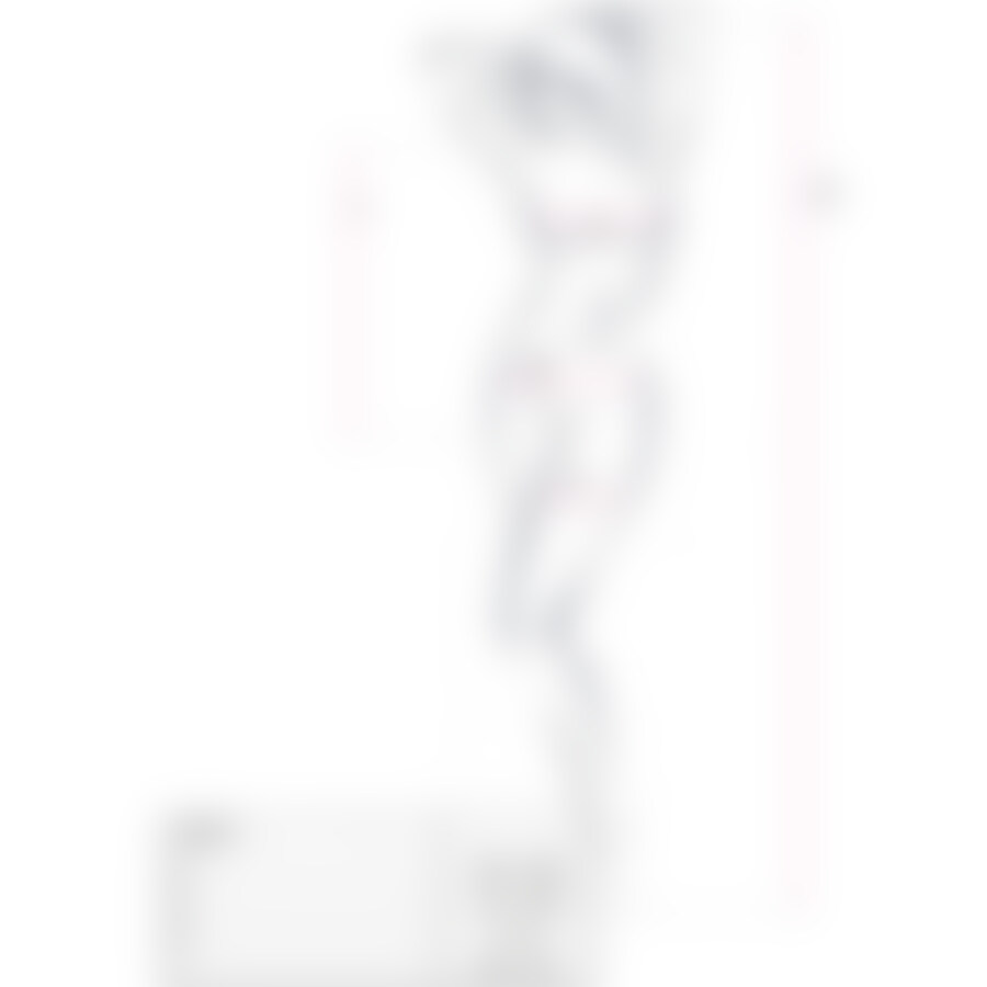 BODYSTOCKING EMBRACE 13