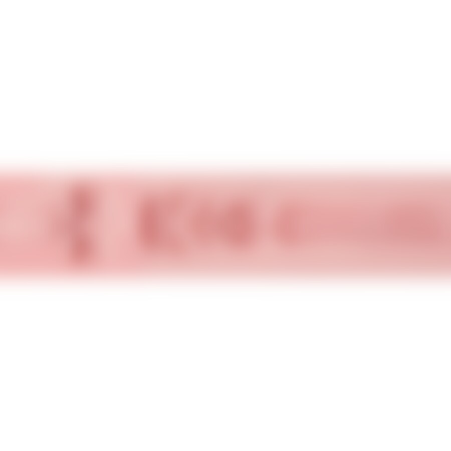 FLESHLIGHT PINK LADY DESTROYA 7