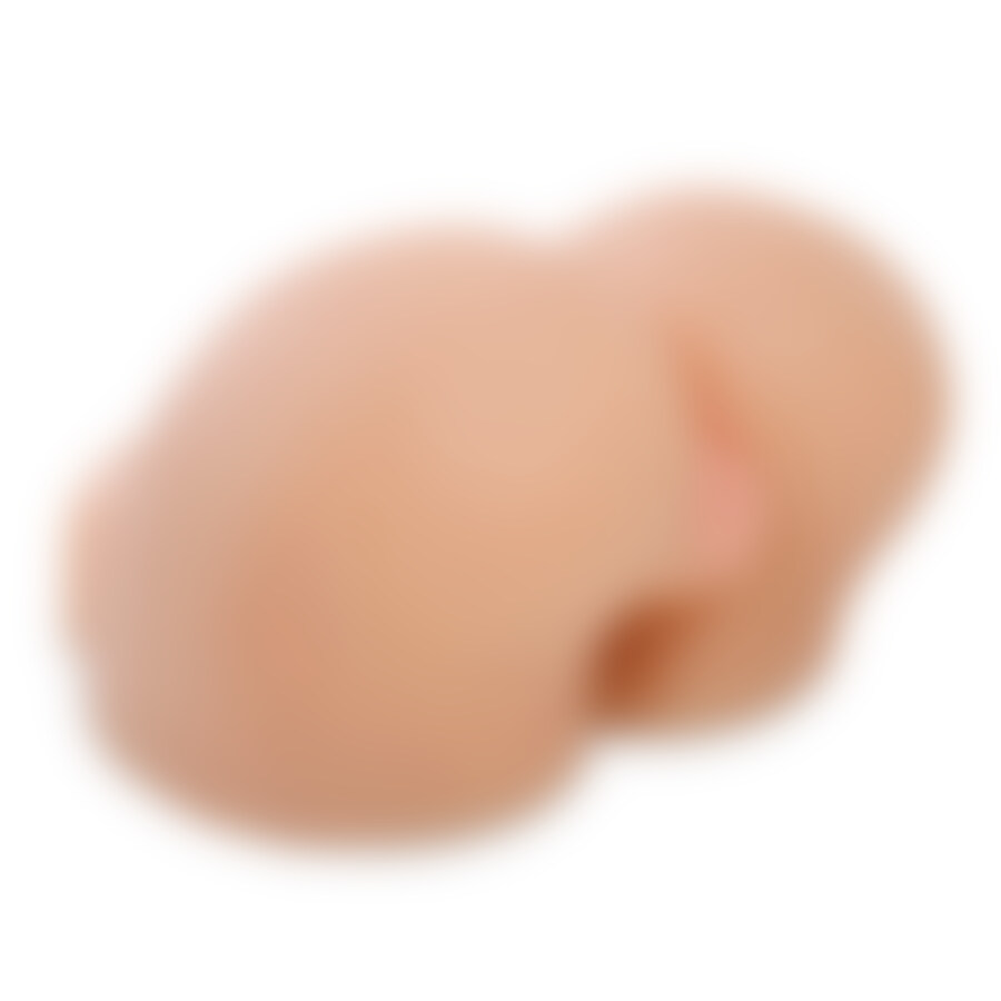 Pipedream extreme fuck me silly vagina y ano extra real peti