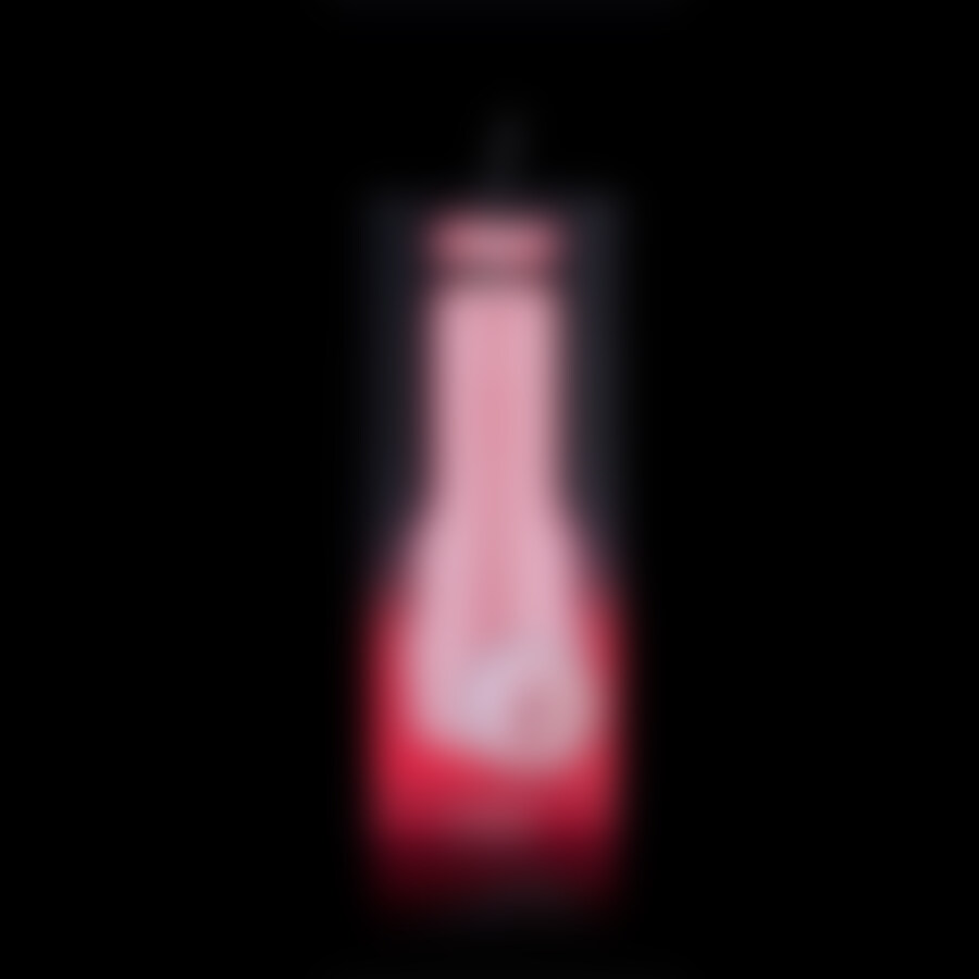 FLESHLIGHT VIBRO-PINK LADY TOUCH 10