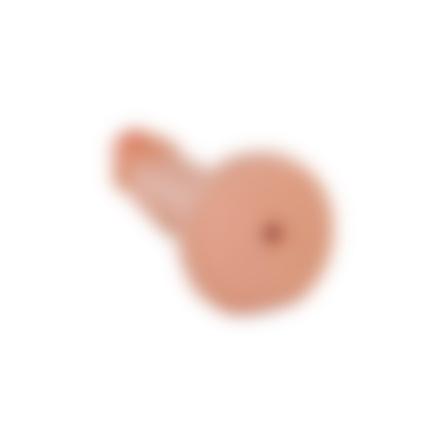 PIGGY BANK SHAPED LIKE A PENIS 4