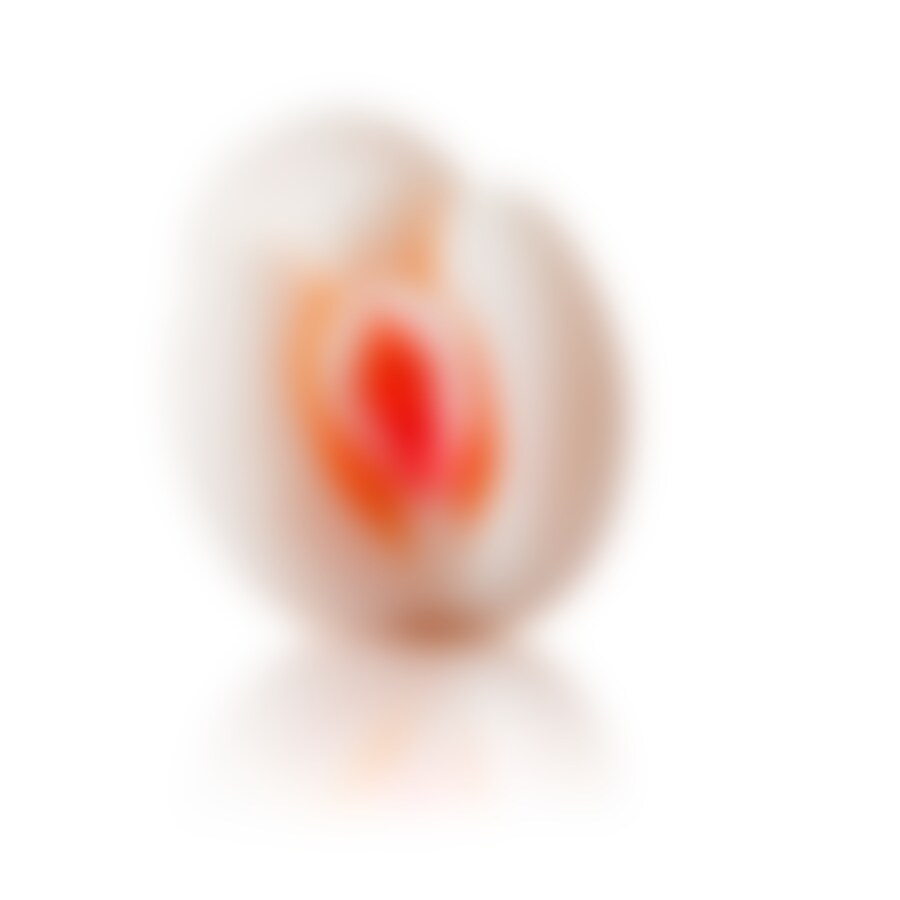 PASSION II LADY 8
