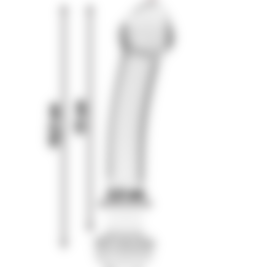 DILDO CRISTAL BOROSILICATO 11 8