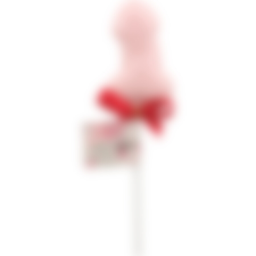 PENIS-SHAPED LOLLIPOP 2