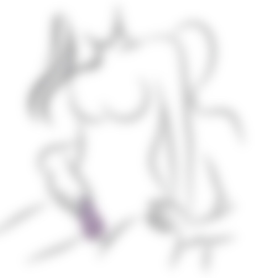 GLO GIRL BUNNY 6