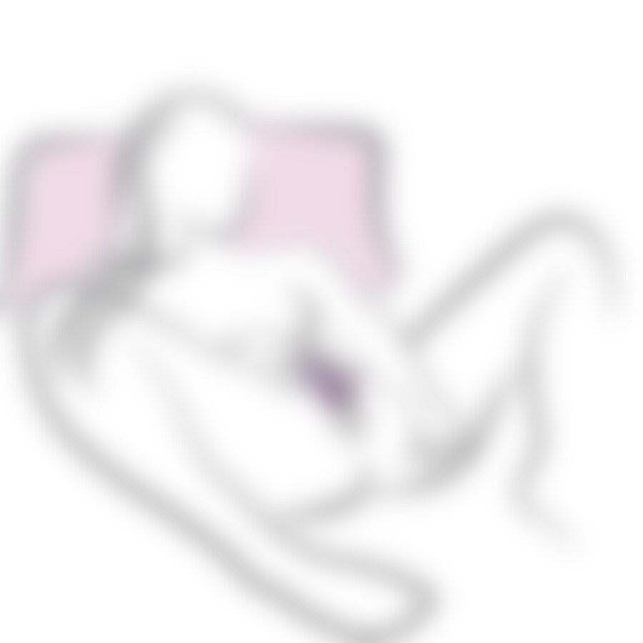 GLO GIRL BUNNY 7