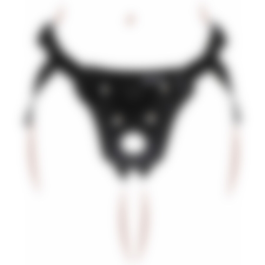 BELLE HARNESS CLASIC 4