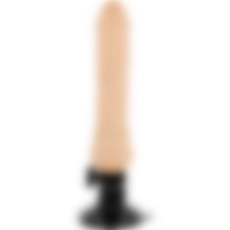 BASECOCK 19.5 2