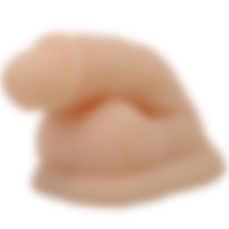 WILDON 2