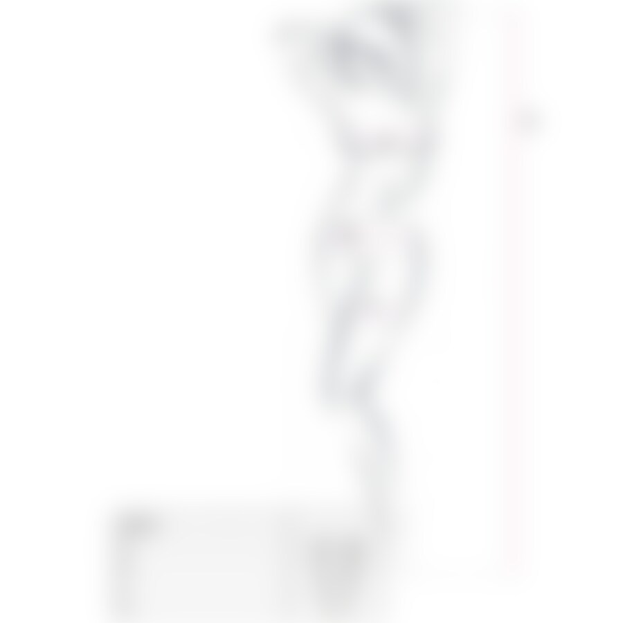 BODYSTOCKING SEDUCTRESS 2