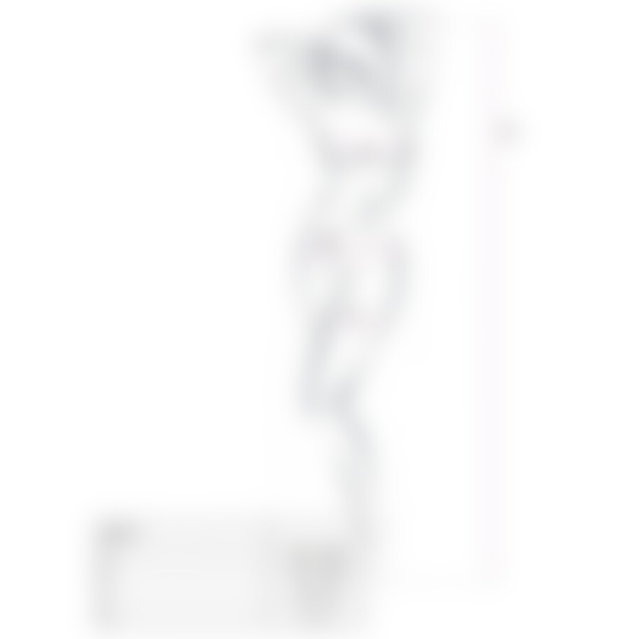 BODYSTOCKING ALLURE 2