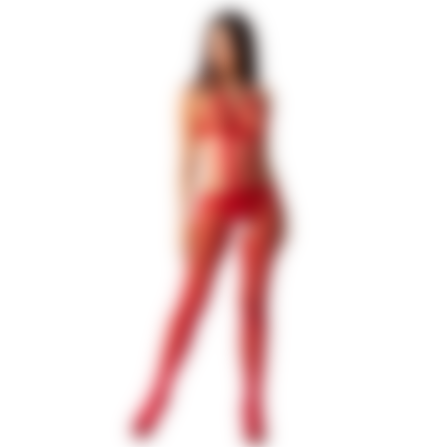 BODYSTOCKING PLAYFUL 2