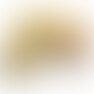 Realistic and Ergonomic Masturbator with Luxurious Texture