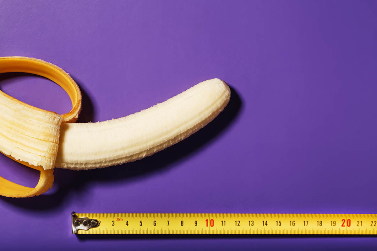¿Cuánto mide un pene? | Todo sobre el tamaño del PENE