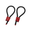 ELECTRALOOPS
