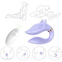 FOX COUPLES VIBRATOR CONTROL R