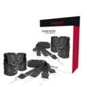 BED RESTRAINT SET