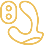 Prostate Stimulators