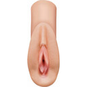 PERFECT PUSSY