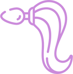 Dildos Anales