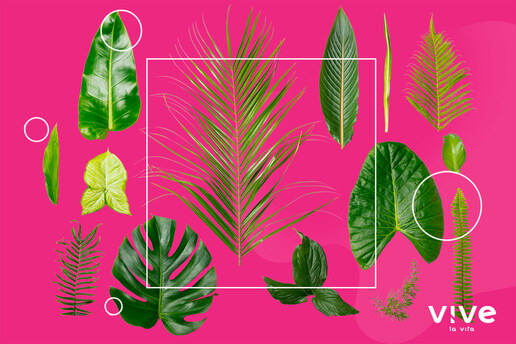 ¿Es diferente la composición de los aceites eróticos naturales y sintéticos?