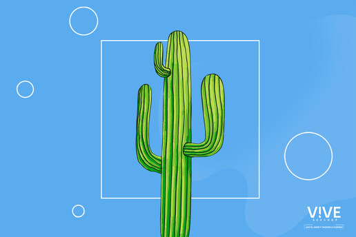 Los 5 mejores lubricantes femeninos para menopausia naturales