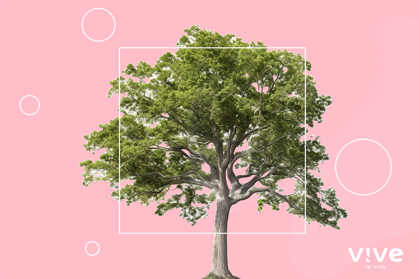 ¿Cuál es el impacto de la industria de los dildos en el medio ambiente?