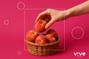 Guía práctica: cómo elegir tu primera vagina realista sin equivocarte